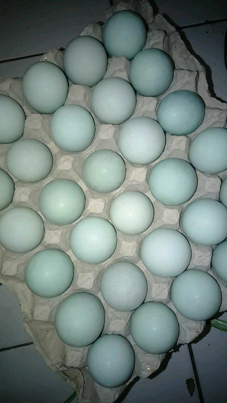 Paket Grosir Telur Asin (Minimal 1000 Butir)